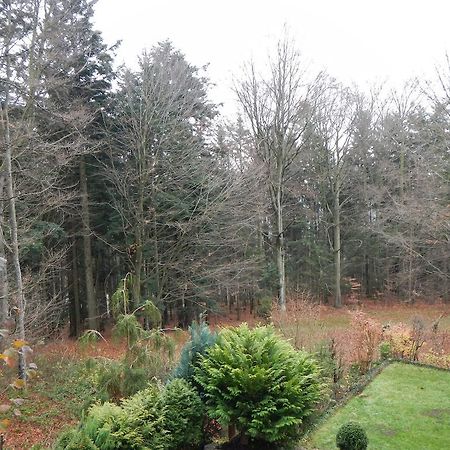 Ferienwohnung Waldoase Am Fuchsenstein Spiegelau Buitenkant foto
