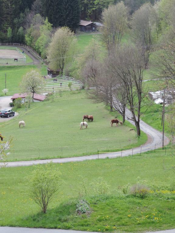Ferienwohnung Waldoase Am Fuchsenstein Spiegelau Buitenkant foto