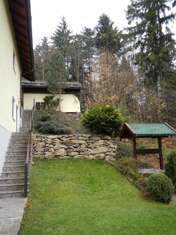Ferienwohnung Waldoase Am Fuchsenstein Spiegelau Buitenkant foto