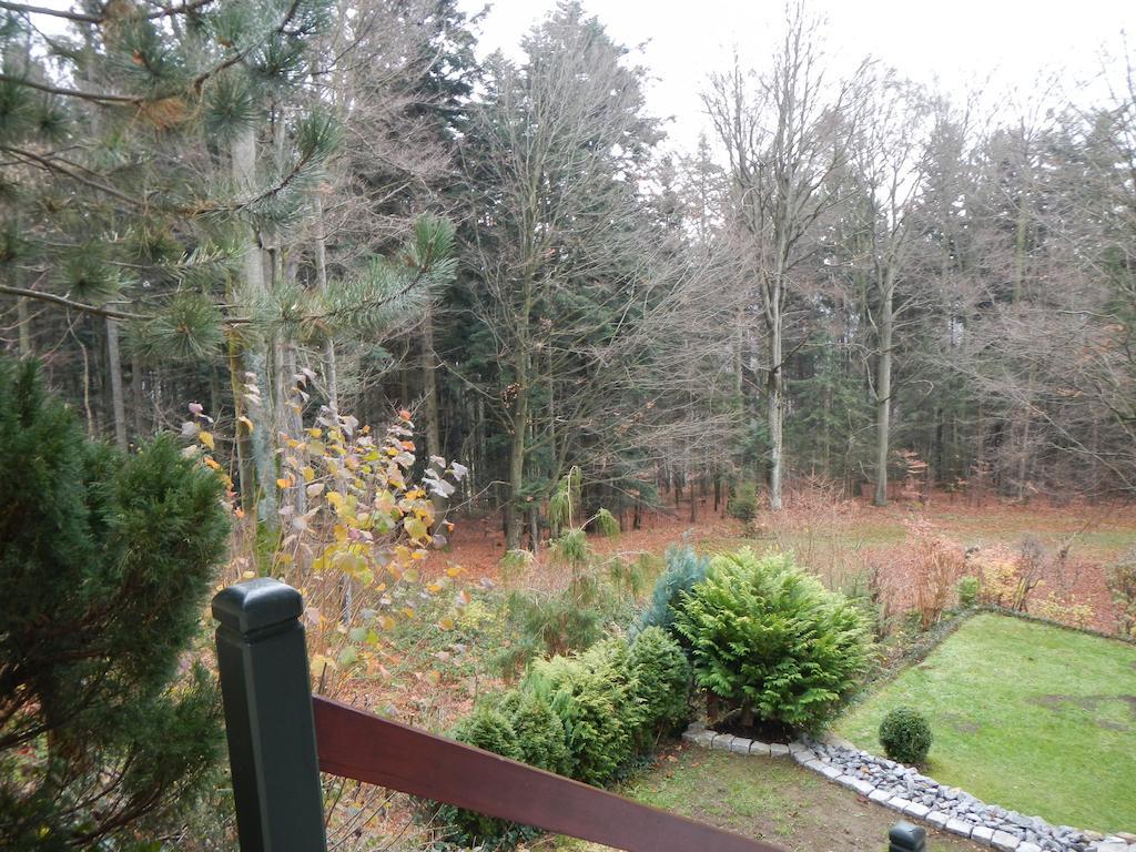 Ferienwohnung Waldoase Am Fuchsenstein Spiegelau Buitenkant foto